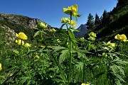 MONTI VINDIOLO e VETRO ad anello da Zorzone-Pian Bracca in VAL VEDRA il 13 giugno 2019 - FOTOGALLERY